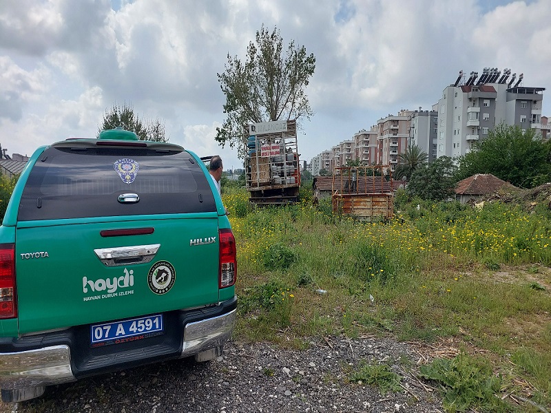 Doğuyaka Mahallesinde Bakımı İhmal Edilen Köpek Muhafaza Altına Alındı